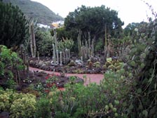 Jardin Canario