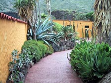Jardin Canario