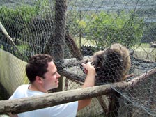 Ich glaub', mich laust der Affe!